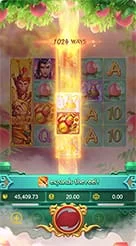 bingo101 · Lgd Monkey Kg