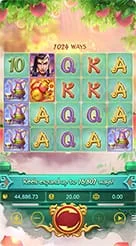 bingo101 · Lgd Monkey Kg
